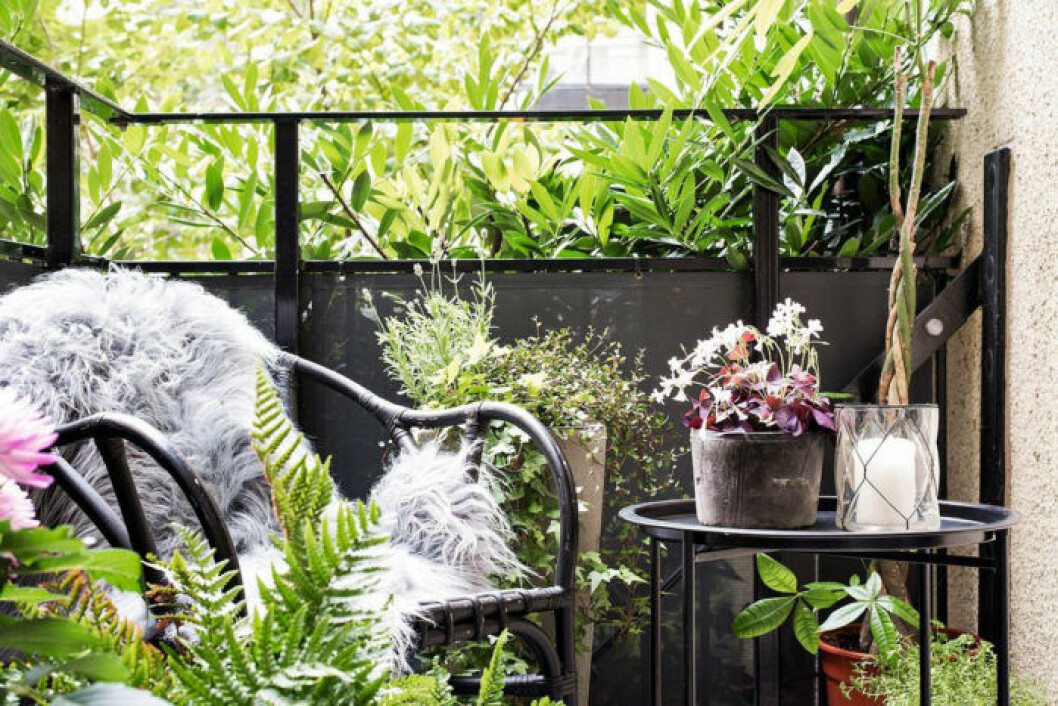 Scandinavian balcony with green plants and black furniture. 