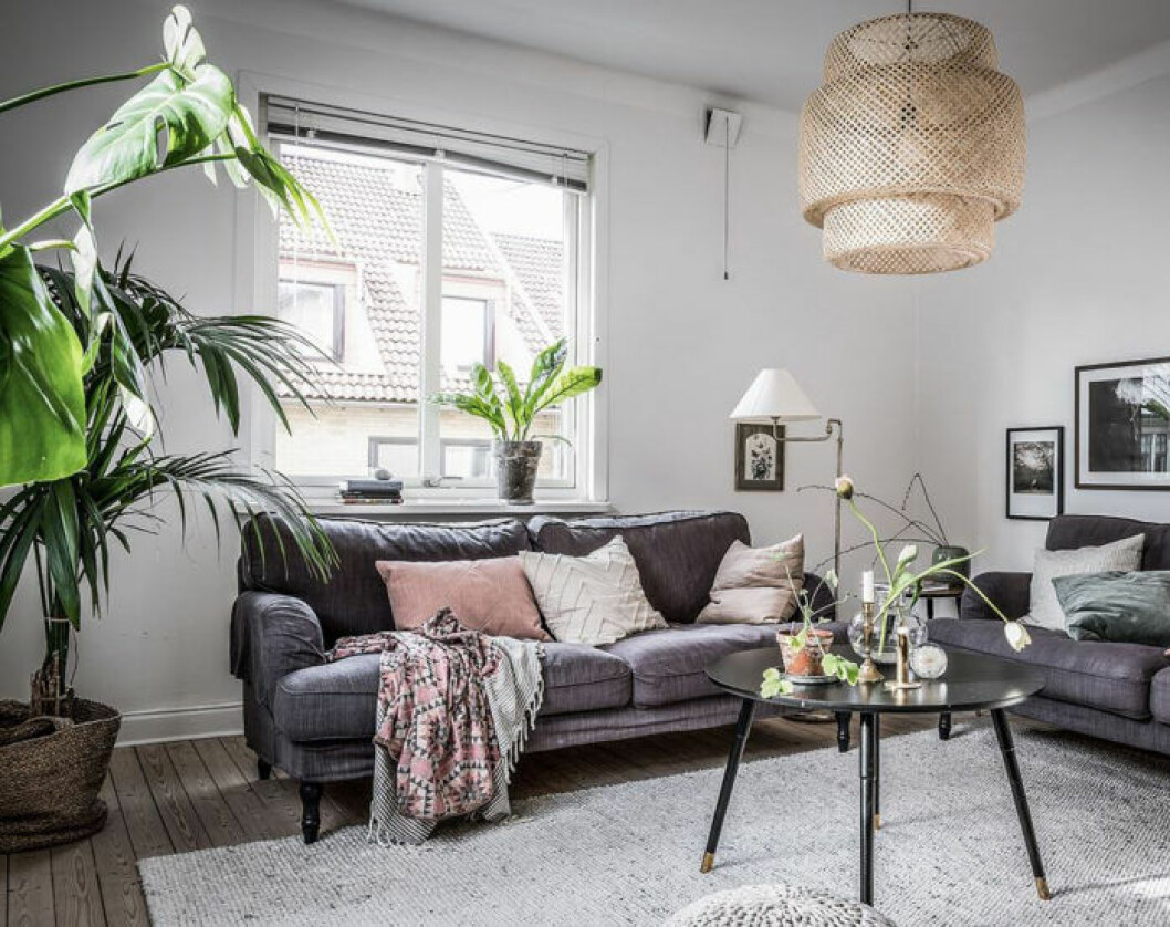 Scandinavian decoration and ideas. Livingroom with plants. 