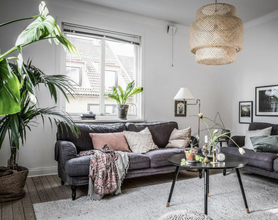Foto: <a href="https://www.instagram.com/fotografalencordic/" target="_blank" rel="noopener">Alen Cordic</a> Styling: <a href="https://www.instagram.com/by_boninterior/" target="_blank" rel="noopener">By Bon Interior</a> för <a href="https://www.instagram.com/bjurfors_goteborg/" target="_blank" rel="noopener">Bjurfors</a>/mäklare: Julia Albinsson Scandinavian decoration and ideas. Livingroom with plants.