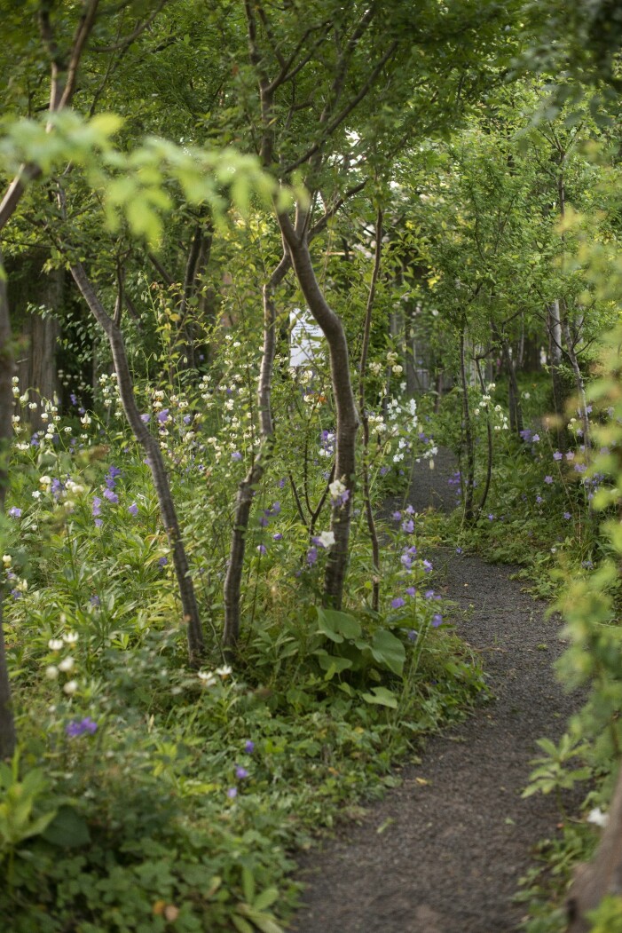 På sommaren blommar krollilja, fingerborgsblomma och stor blåklocka i plommonlunden. På våren sticker det upp rosa, krämfärgade och vita tulpaner ur den mjuka mattan av förgätmigej och smultron.