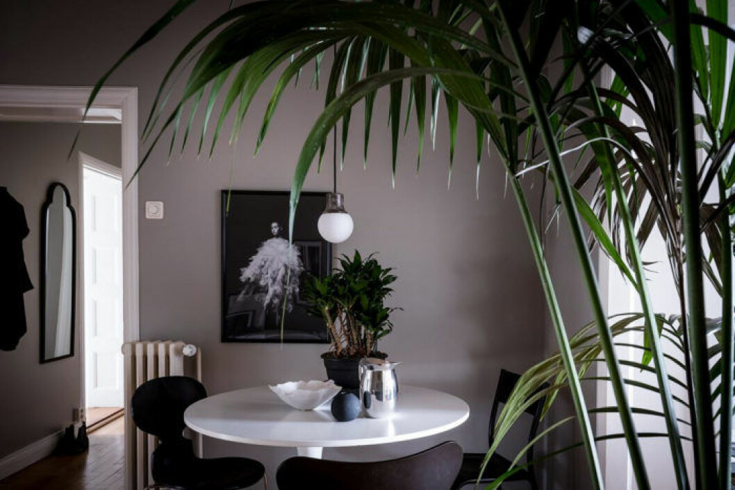 Foto: <a href="https://www.instagram.com/fotografalencordic/" target="_blank" rel="noopener">Alen Cordic</a> Styling. <a href="https://www.instagram.com/styledbyemmahos/" target="_blank" rel="noopener">Emma Fischer</a> för <a href="https://www.instagram.com/bjurfors_goteborg/" target="_blank" rel="noopener">Bjurfors</a>/mäklare: Sarah Gustafsson Scandinavian decoration and ideas. Greige painted wall.