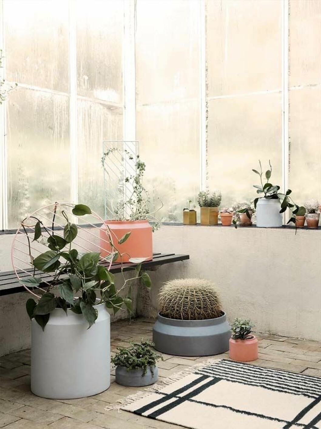 Foto: <a href="https://www.fermliving.com/webshop/shop/green-living/plant-wall-circle-rose.aspx" target="_blank" rel="noopener">Ferm living</a>