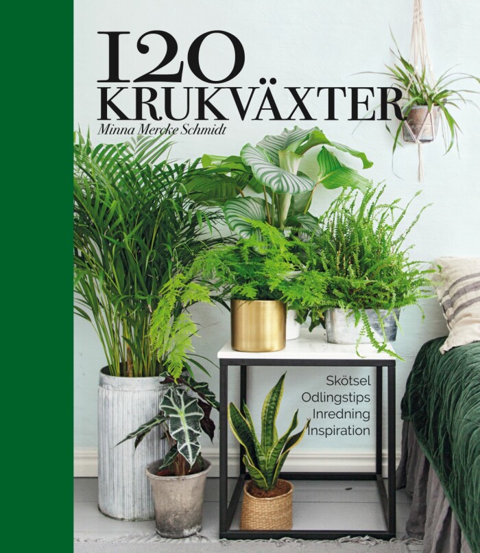 120 krukväxter av Minna Mercke Schmidt