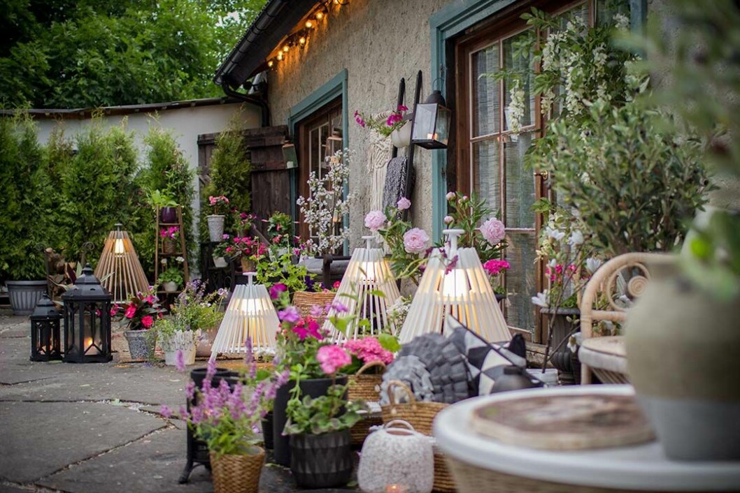 Foto: <a href="http://www.tv4.se/s%C3%A5-mycket-b%C3%A4ttre" target="_blank" rel="noopener"><em>Så mycket bättre</em></a>/TV4 Styling: Lena Nyholm
