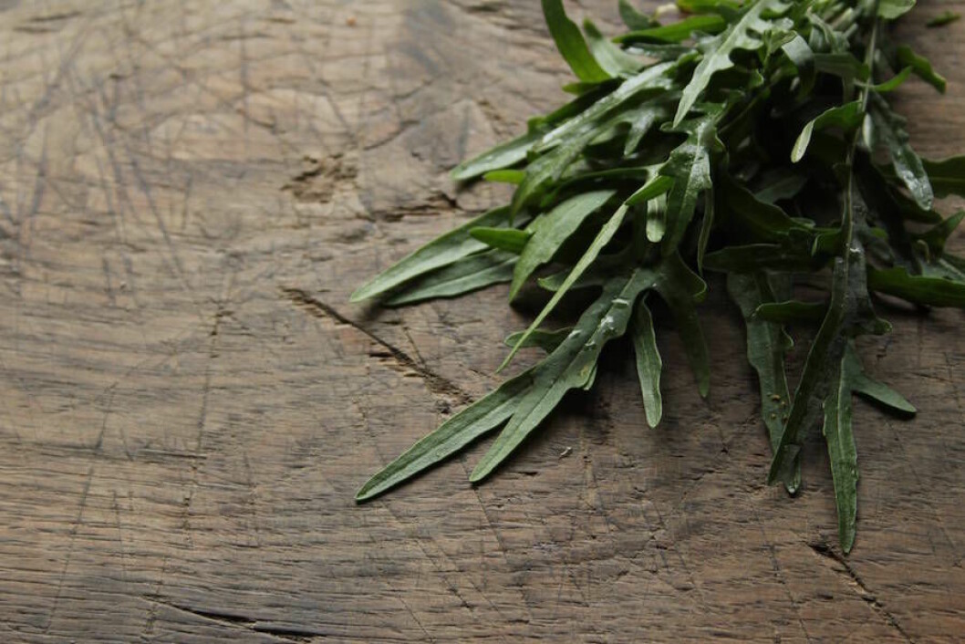 Foto: IBL. Bild på ruccola på skärbräda.