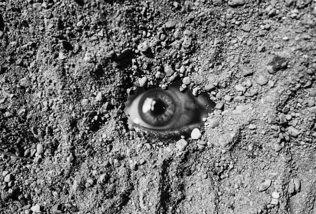 Foto Jesper Waldersten waldersten eye