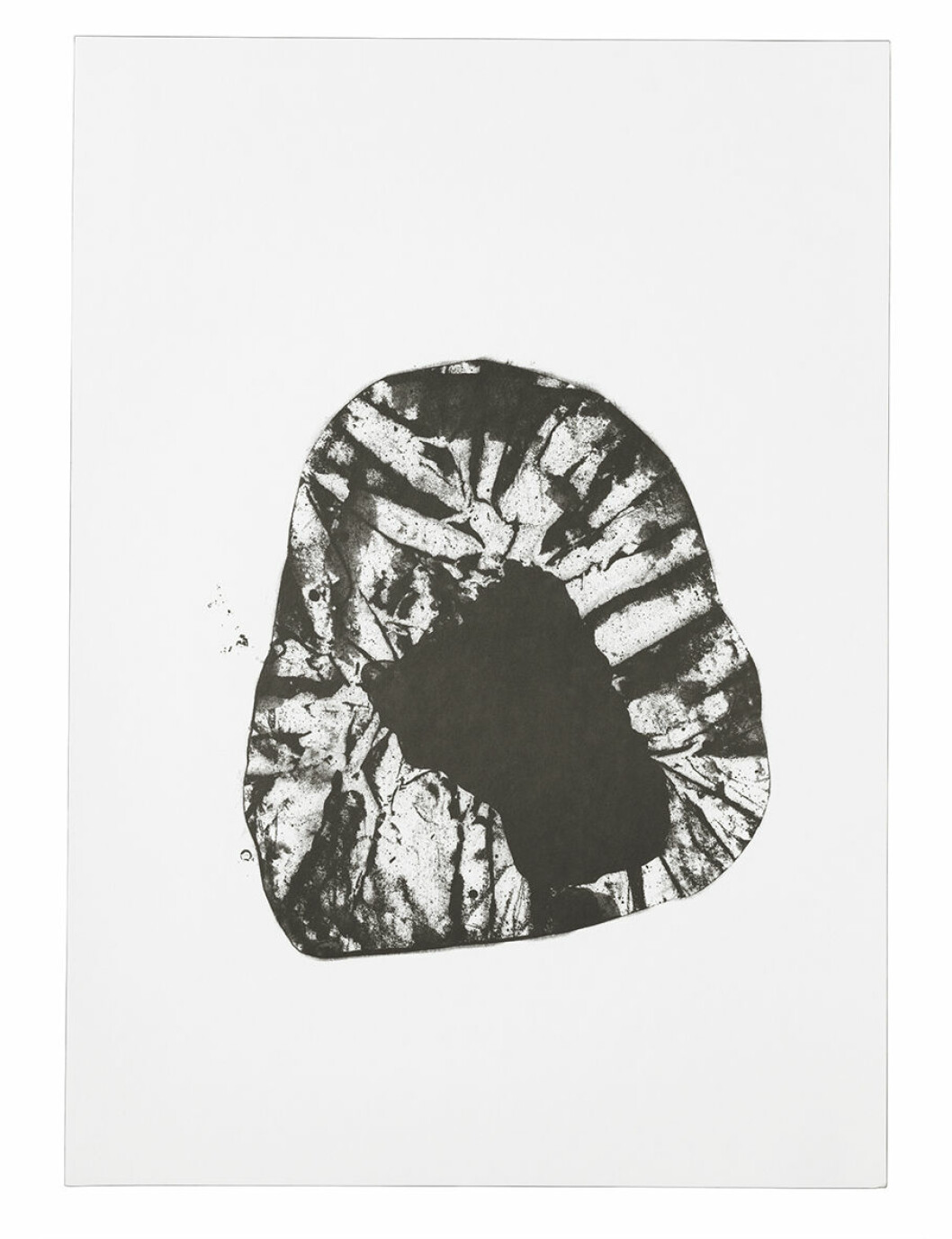 19. IKEA_SVARTAN_bild_50x70cm_vit