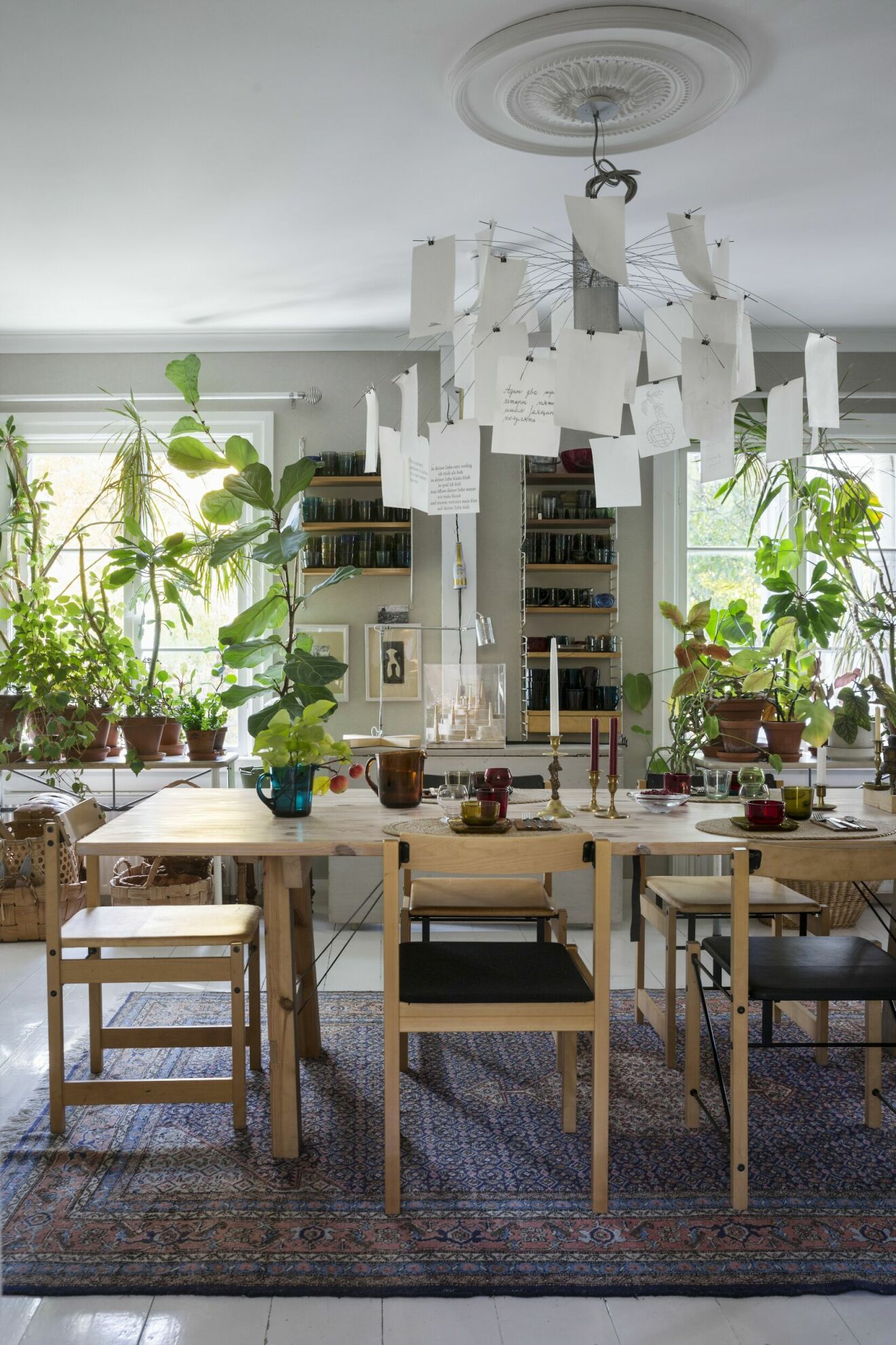 matsal med växter och taklampa