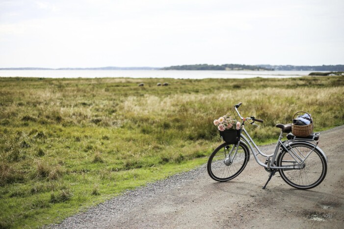 Kustnära cykling längs Kattegatt-leden. Cykl