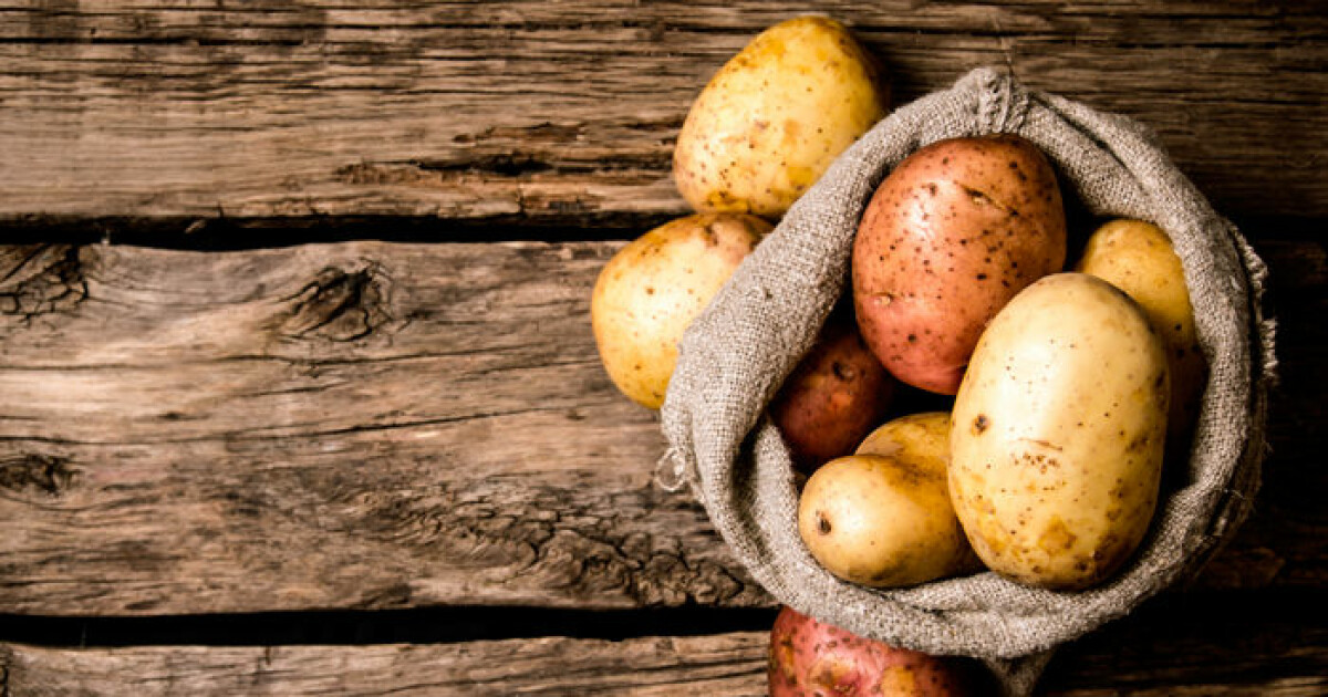 Så odlar du potatis | Residence Magazine