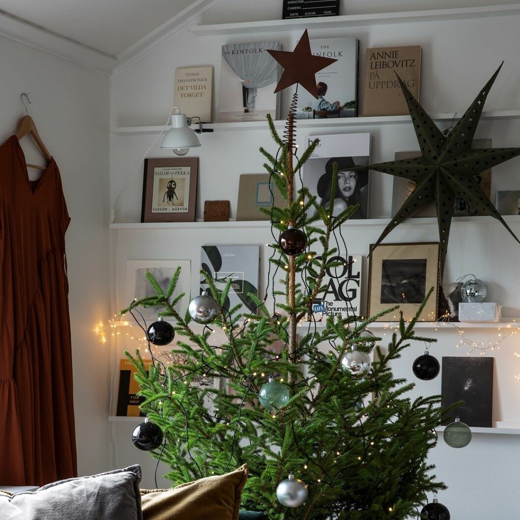 granit jul gran