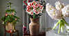 5 fina växter och julblommor att inreda med Residence Magazine