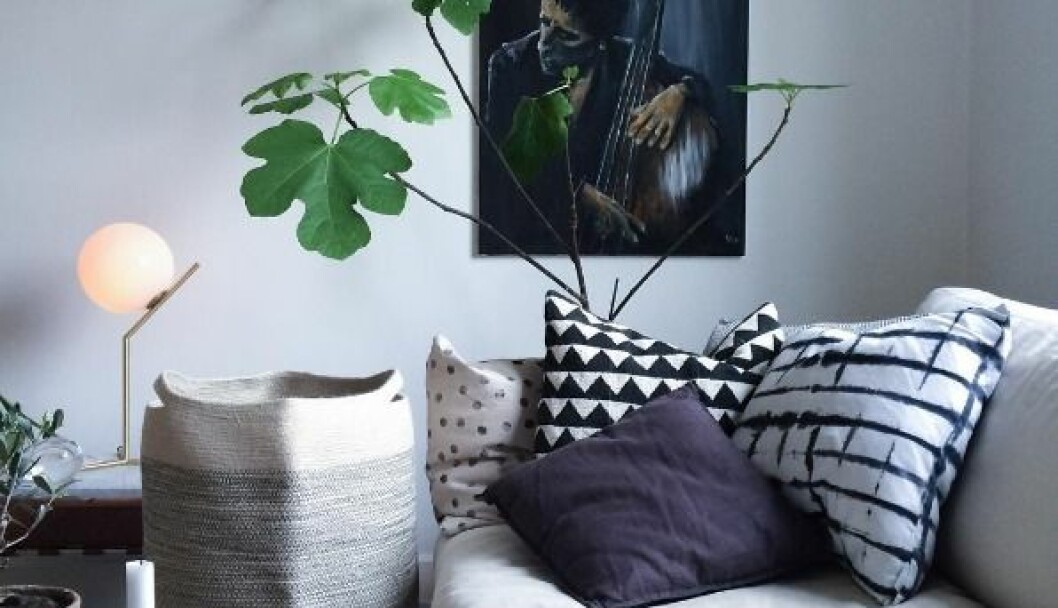 Canvasposter <em>Nässla</em>. Stylist: Pella Hedeby. Fotograf: Emma Mattsson 900_Canvasposter Nassla av Pella Hedeby 4