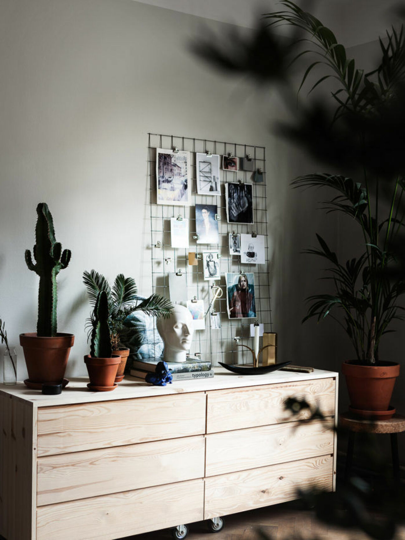 Scandinavian decoration and ideas. Wooden furniture and plants.