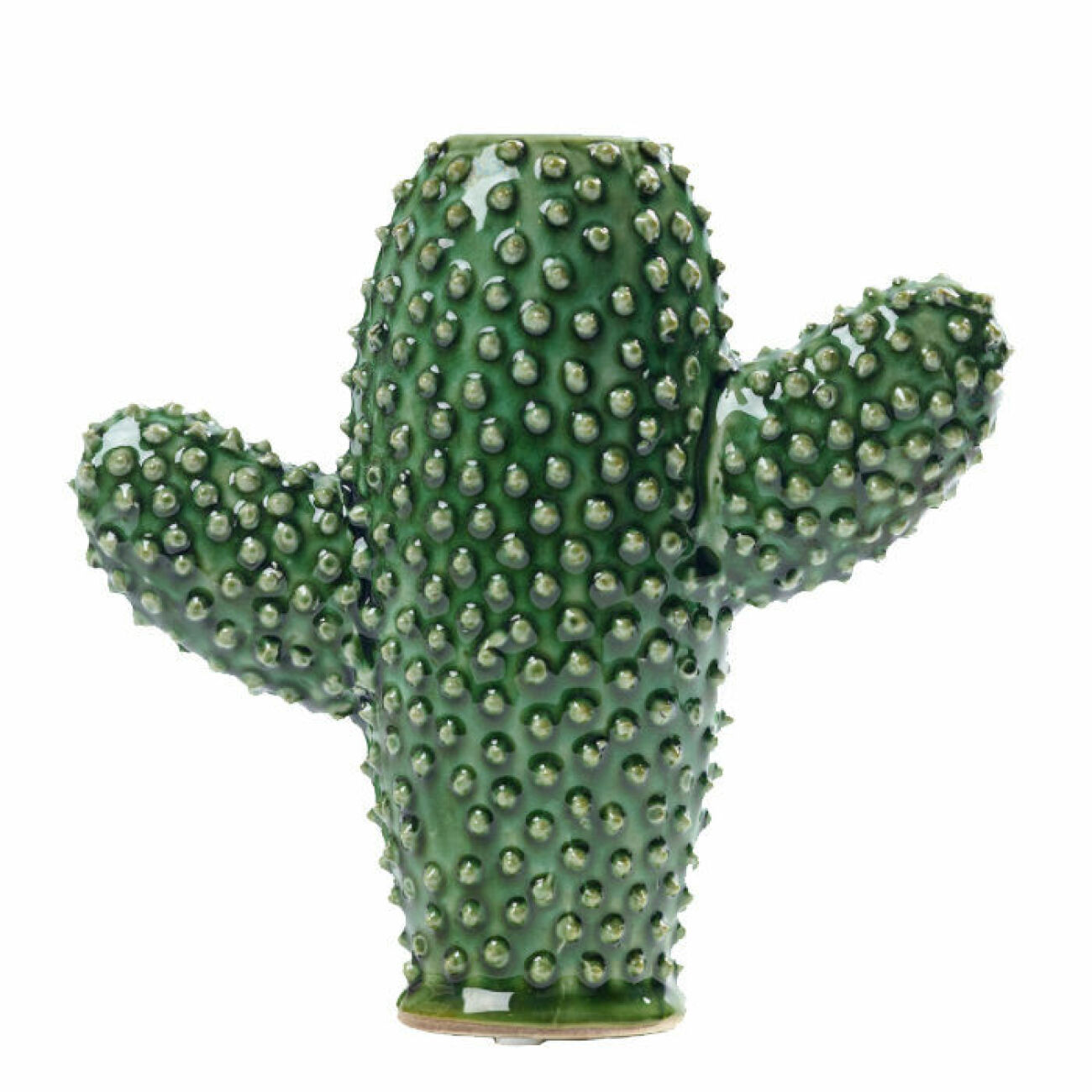 Kaktusformad vas