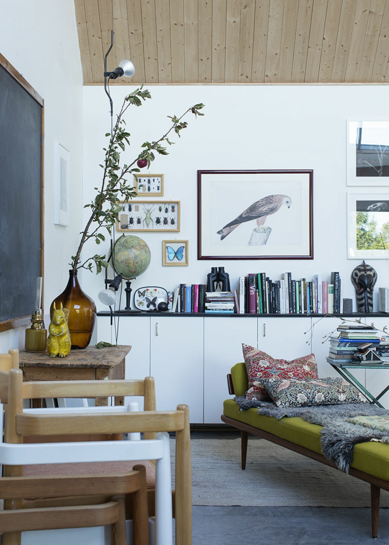 EN mängd böcker, kikare och en tavla på en fågel pryder Charlie Drevstams vardagsrum. 