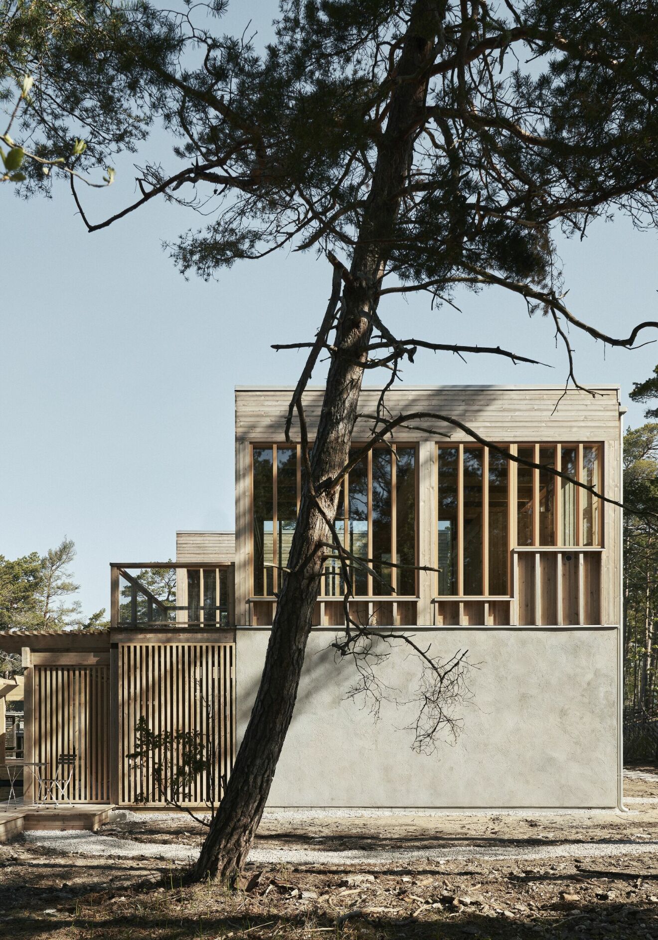 Naturnära arkitektritad villa i furu på Gotland.