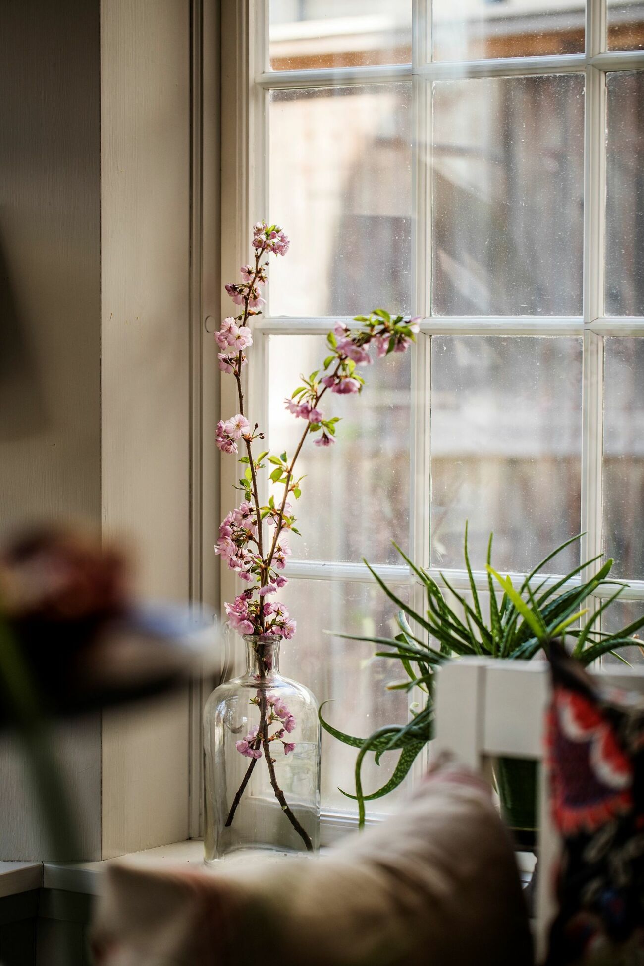 Åsa Larsson säljer sitt hus i Mariefred originalfönster