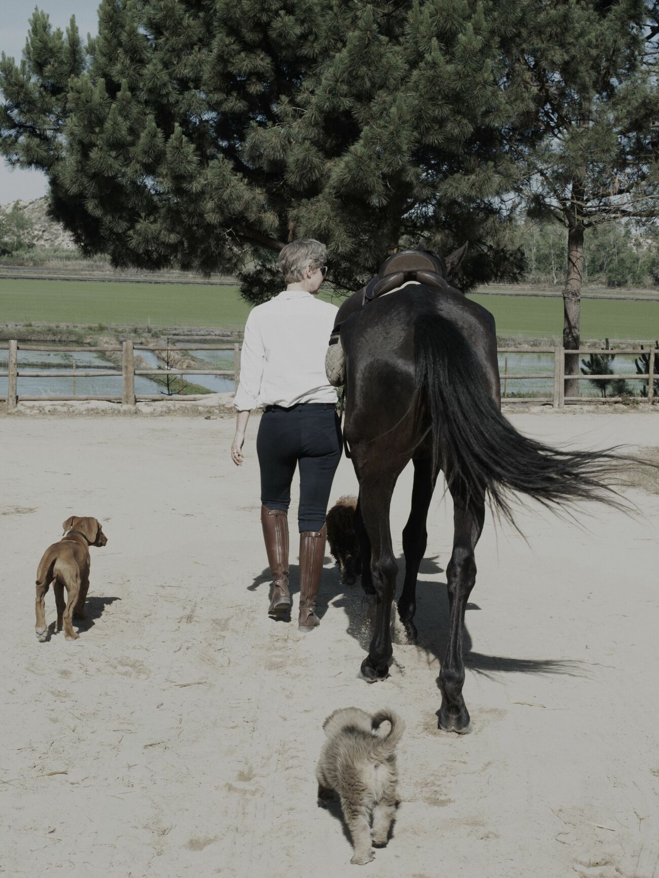 Pia Ulin med häst och hund
