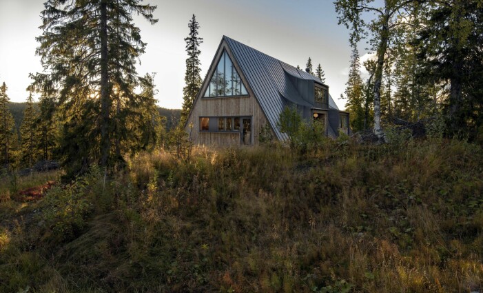 Huset i Edsåsdalen sett från öster. Den trekantiga volymen står inkilad i ett dramatiskt landskap, nära trädgränsen. När snön lägger sig får huset en siluett som påminner om de ståtliga granarna inpå husknuten. A-frame-huset sett från öster.