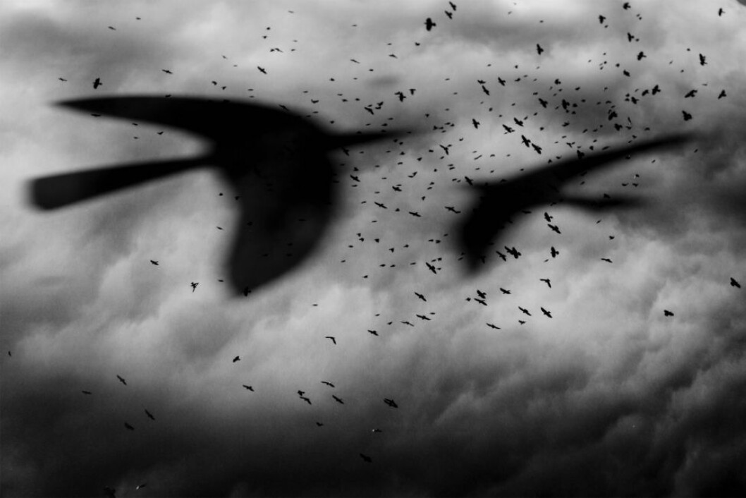 Foto Jesper Waldersten waldersten all over