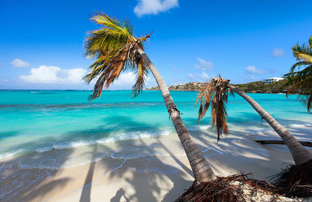Shoal Bay Easy på ön väcker verkligen resfebern. anguilla