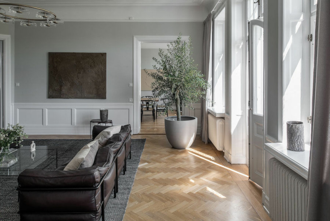 Annaleenas tips: satsa på stora växter!