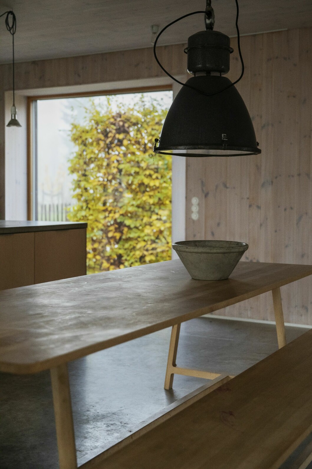 Var man än befinner sig dras blicken ut genom stora, välplacerade fönster som löper från golv nästan ända upp i tak. Utanför syns en avenbokshäck placerad mot vägen till. Matbord från Hay. Arkitektritade trähuset – med magiskt orangeri