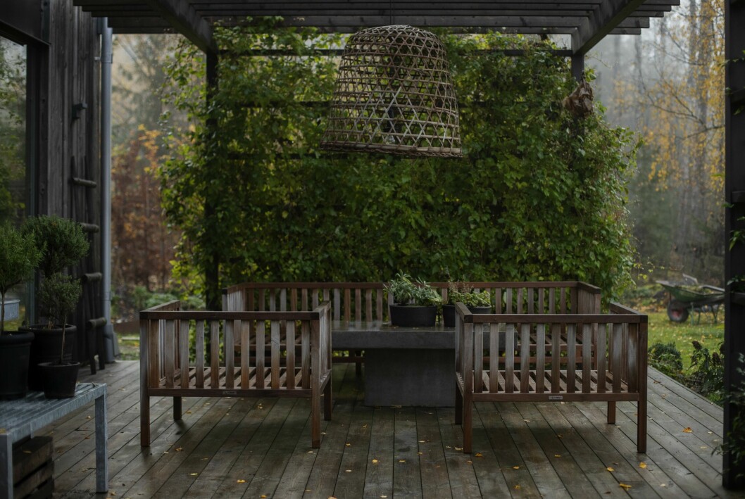 Inbjudande sittplatser finns det gott om i trädgården men här sitter bara Johan och Lina om de har gäster hemma. Arkitektritade trähuset – med magiskt orangeri