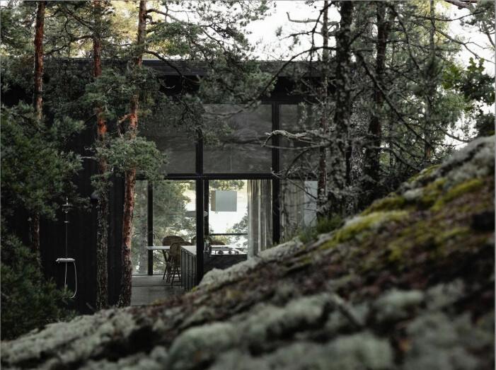 arkitektritat hus