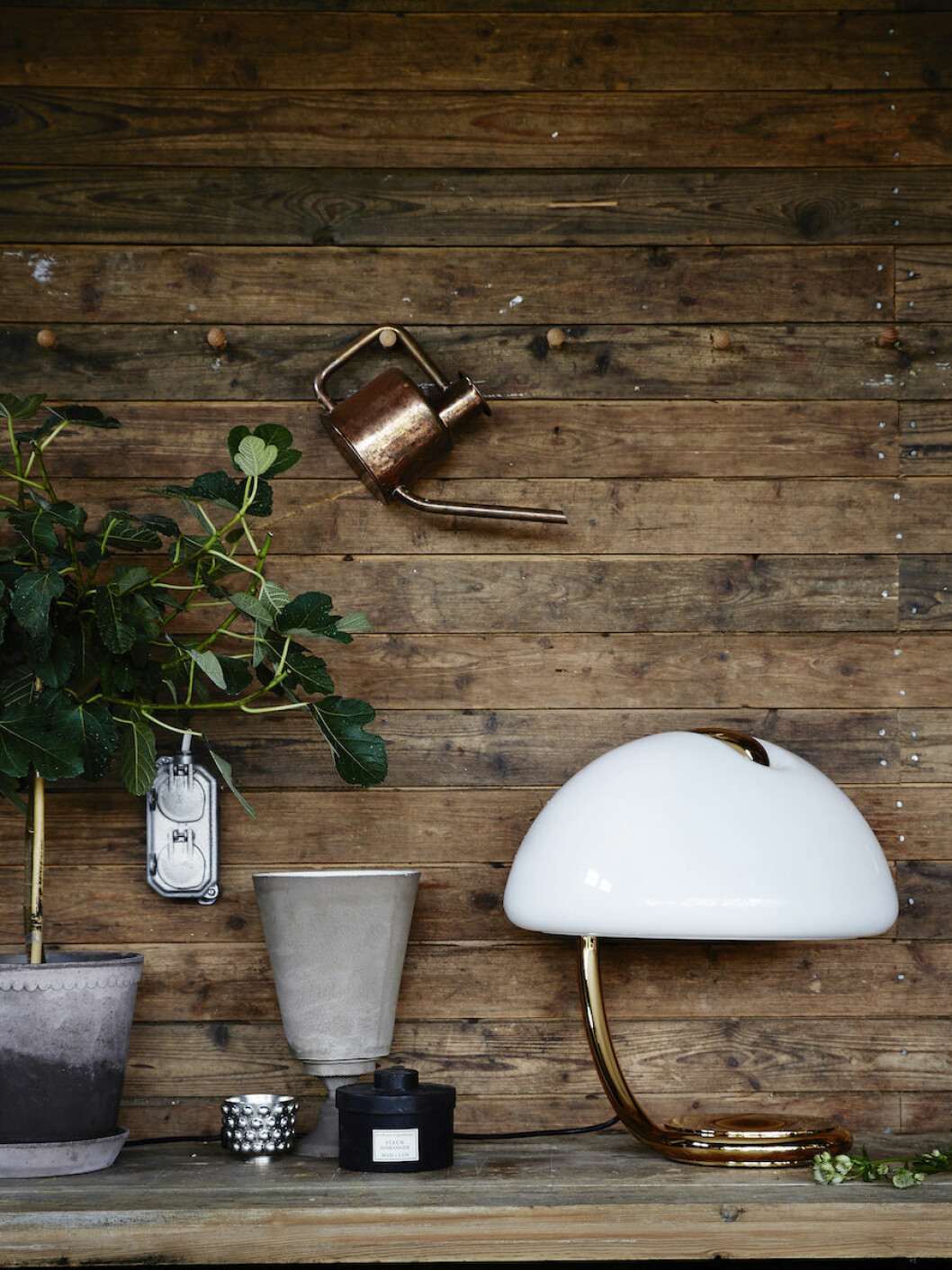 Kruka från Bergspotter, 439:-, vattenkanna Watering Can Copper från Artilleriet, 1 295:-.Vas Simple Vase från Astier De Villatte, från 1 899:-.<br>Vas Grape Tin Vase från Artilleriet, 1 595:-, doftljus från Mad et Len, 759:-, lampa Serpente från Martinelli Luce, 16 750:-. Bordslampa och kruka i Artilleriets magiska orangeri.