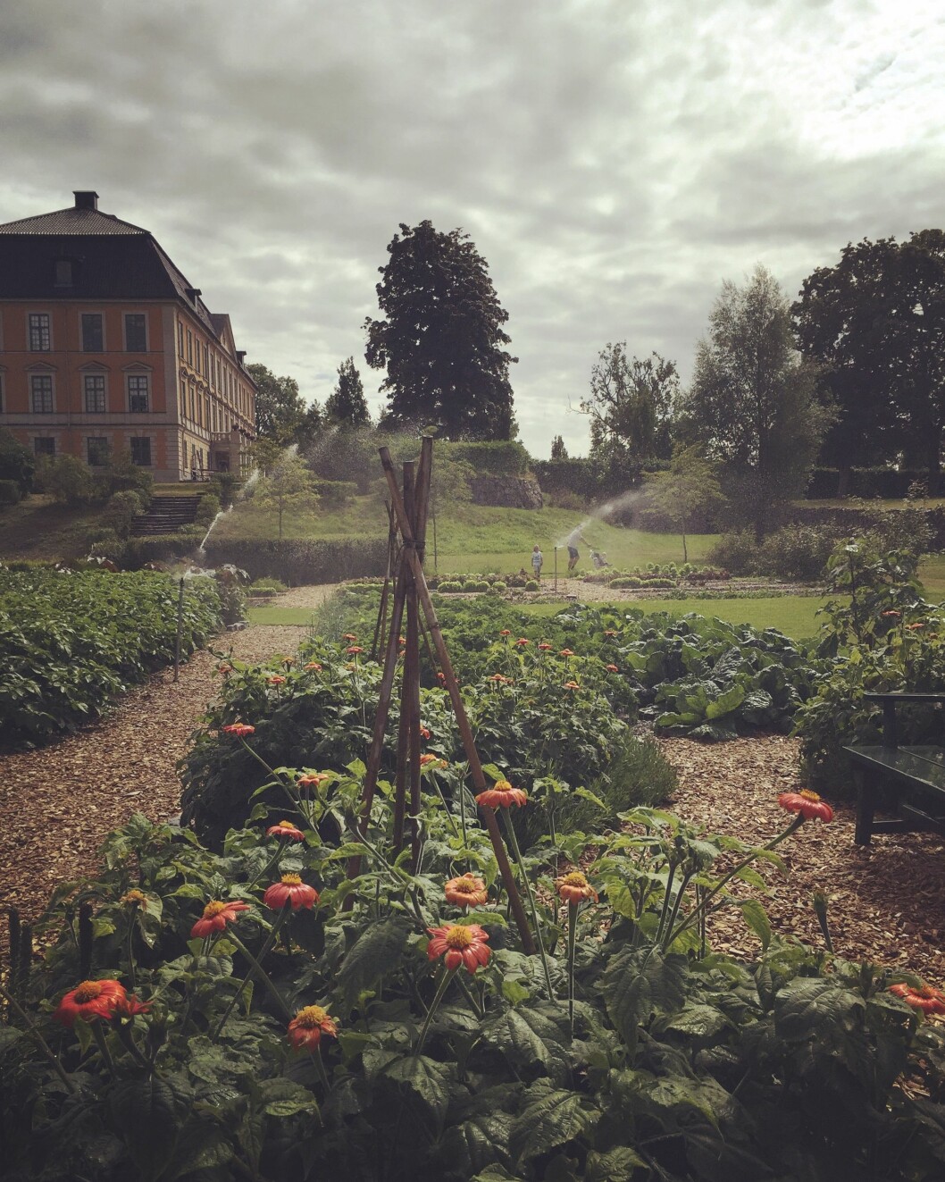 Den magiskt vackra miljön runt Nynäs slott är perfekt för sommarutflykter. Vy av Nynäs slott.