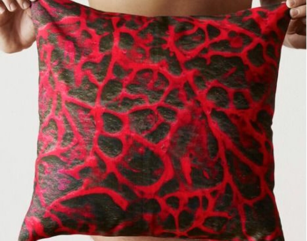Asteroid pillow, 650:- Asteroid pillow, 650:-