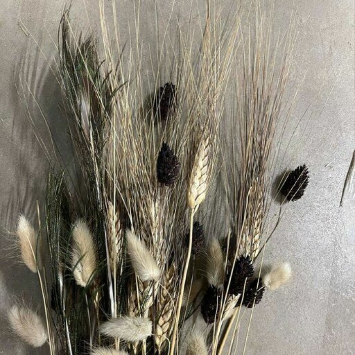 torkade blommor