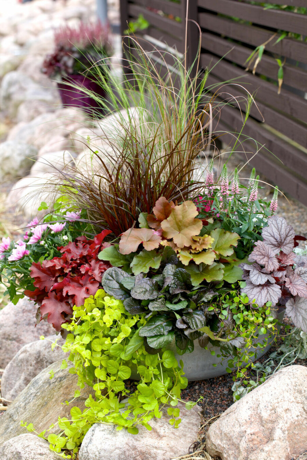 Plantering Blomsterlandet