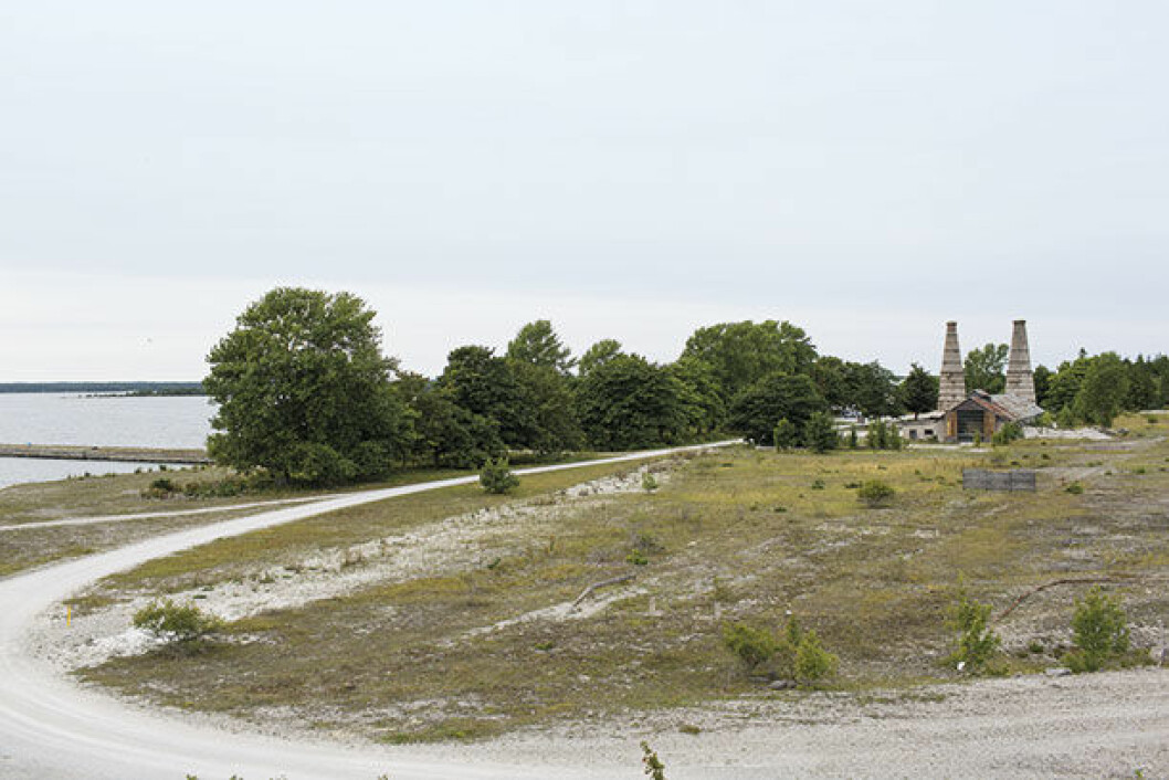 Varsamt och med respekt för platsen, har varit ledorden i utvecklingen av detaljplanen på Bungenäs. Husen måste smälta in i landskapet. Hittills har alla uppförda hus ritats av Skälsö arkitekter, men målet är att olika arkitekter ska anlitas för att skapa mångfald. Skälsö anlitas numera som rådgivare av andra kommuner som vill omvandla gamla industriområden. Bungenas 14