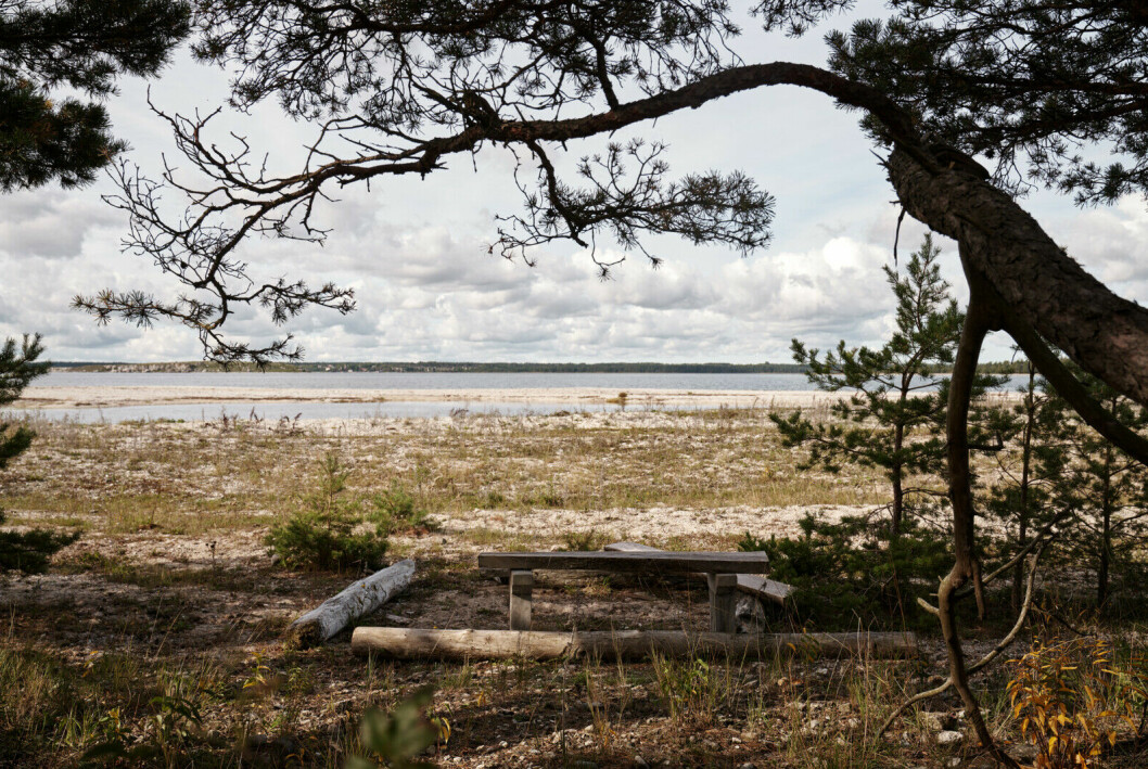 Gotlands karga landskap.