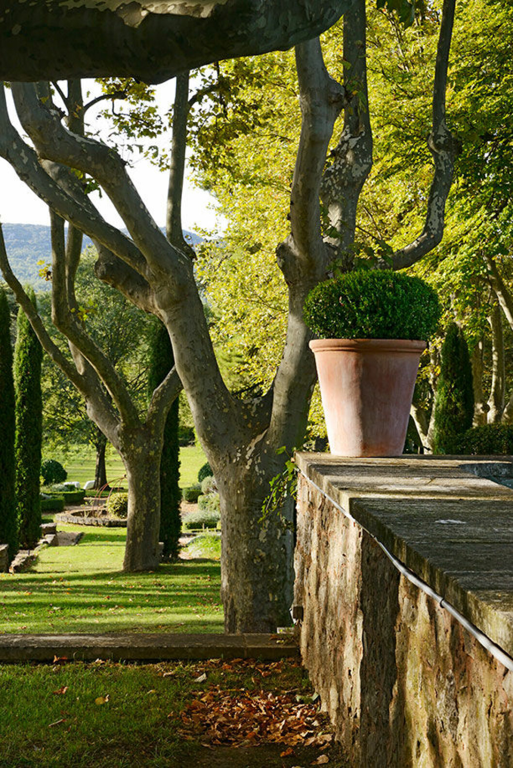 Den danske sångaren Poul Krebs blev så tagen av stämningen på vingården att han skrev låten Spirit of Vignelaure om platsen efter ett besök. Chateau Vignelaure 1