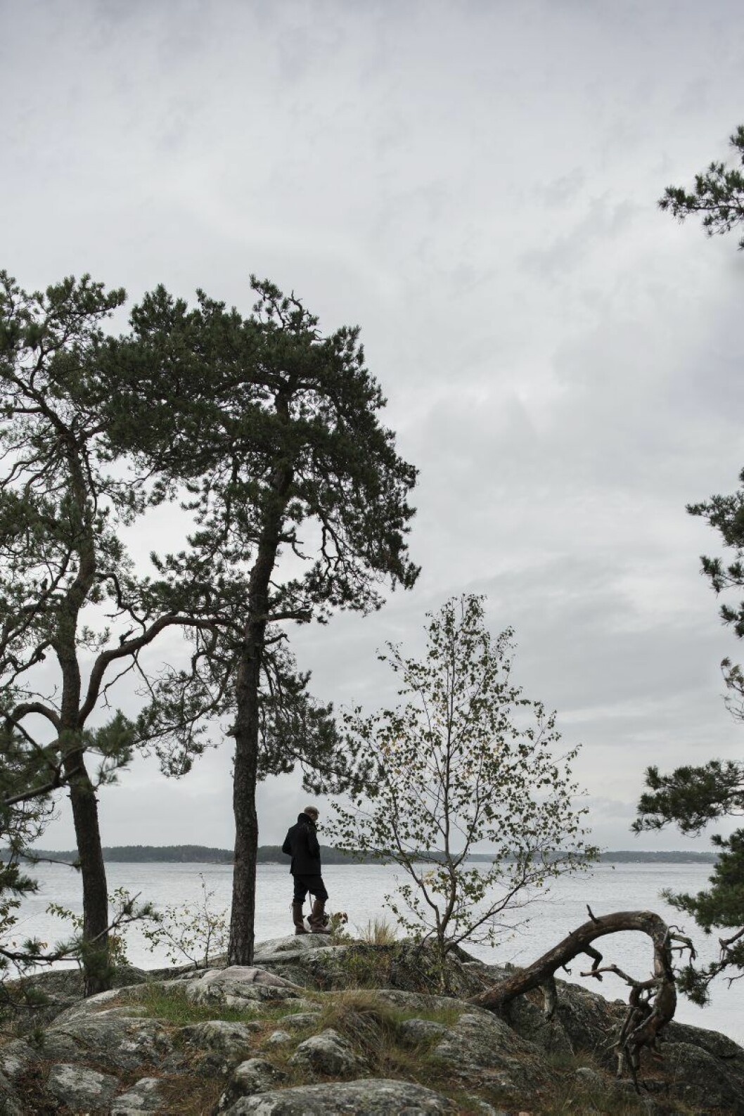 Favoritklippan med favorithunden, beageln Will, och en utsikt som får pulsen att gå ner ordentligt.
