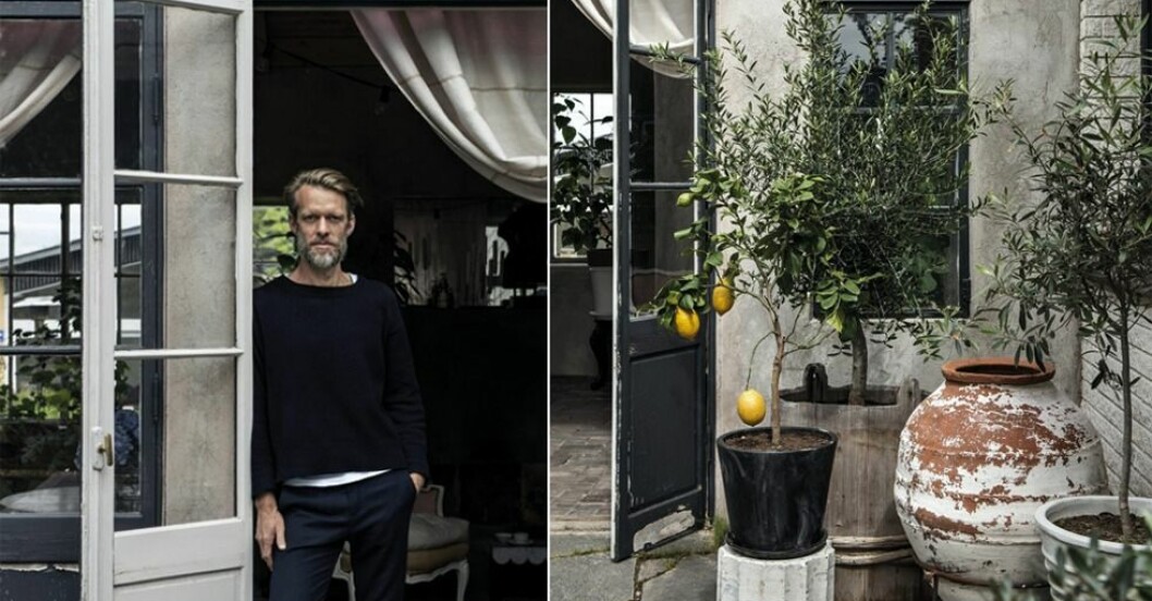 Kika in inredaren Daniel Östmans vackra orangeri mitt i stan