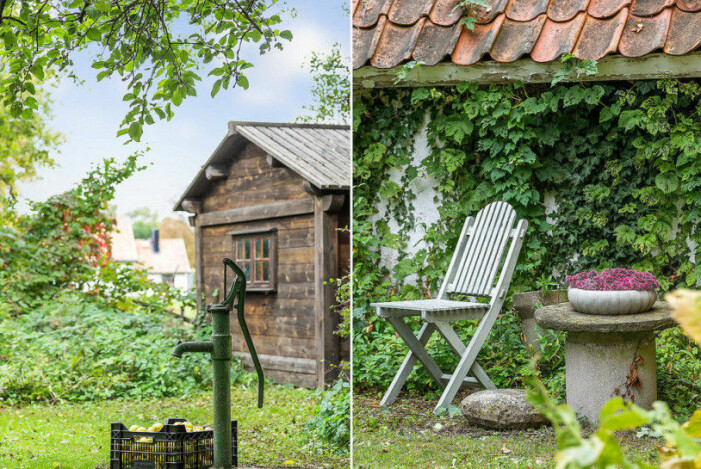 Gotlandshus trädgård