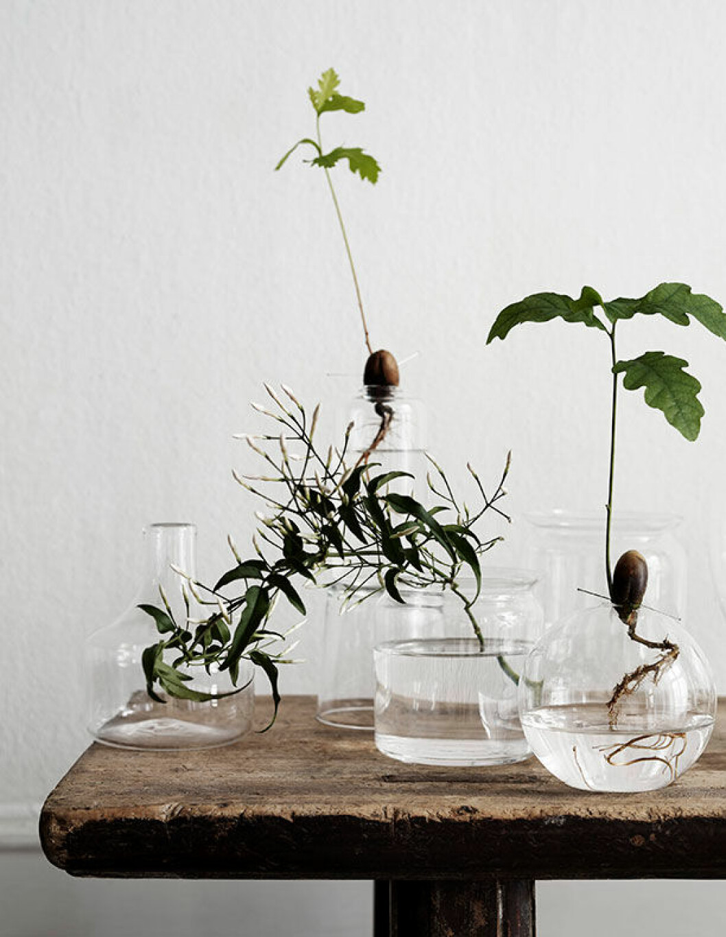 Liten vas, 1 400:-, Carina Seth Andersson.Tubvas i bakgrunden, 75:-, Lotta Agaton shop. Framför denna står glasburkar från Skrufs, 350:-/styck, Asplund. Rund glasvas, 95:-, Asplund. ekollon och glasvaser som på landet jarna