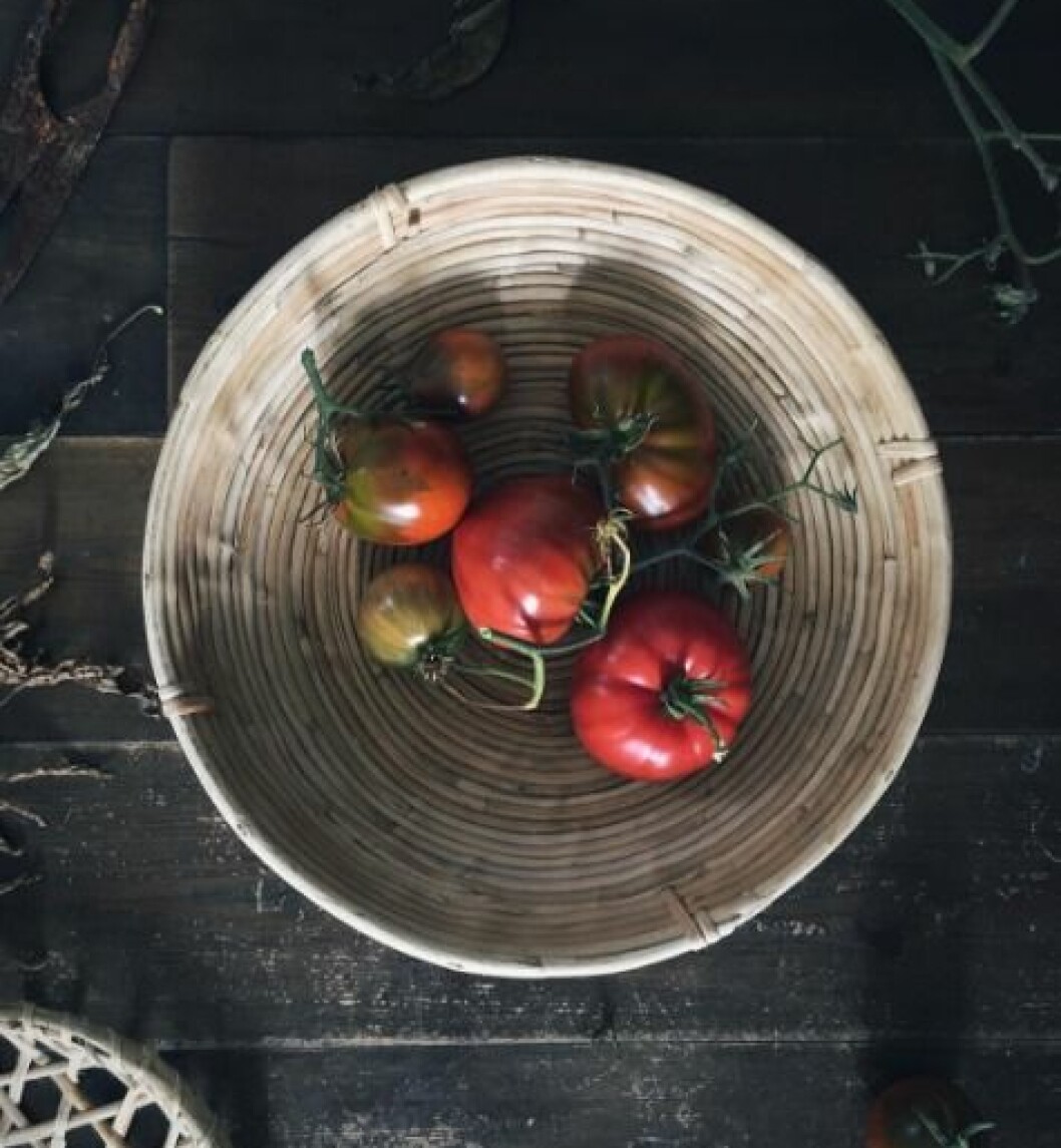 My garden tomatoes, all together. Will end up as some nice Bloody Marys this weekend. My garden tomatoes, all together. Will end up as some nice Bloody Marys this weekend.