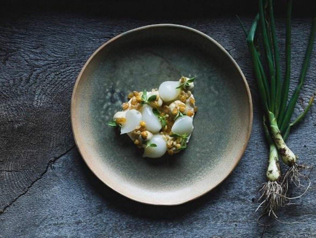 Today’s ceramic picture. Beautiful plating by Swedish chef of the year Thomas Sjögren @thomassjgrenusing my ceramics. Today's ceramic picture. Beautiful plating by Swedish chef of the year Thomas Sjögren @thomassjgrenusing my ceramics.