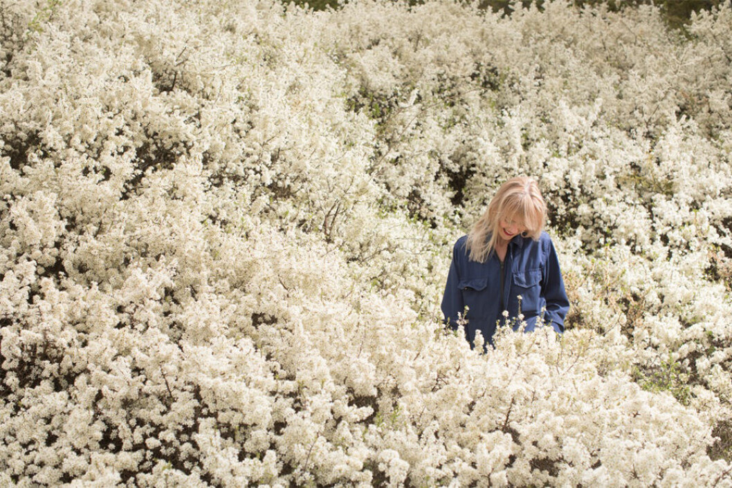 Emily Bratt är aktiv i slow flowers-rörelsen i Sverige, som arbetar för att främja den svenska produktionen av snittblommor för miljöns skull. Foto: Jonatan Fernström Emily Bratt tror på en blomstrande trädgårdstrend 2020