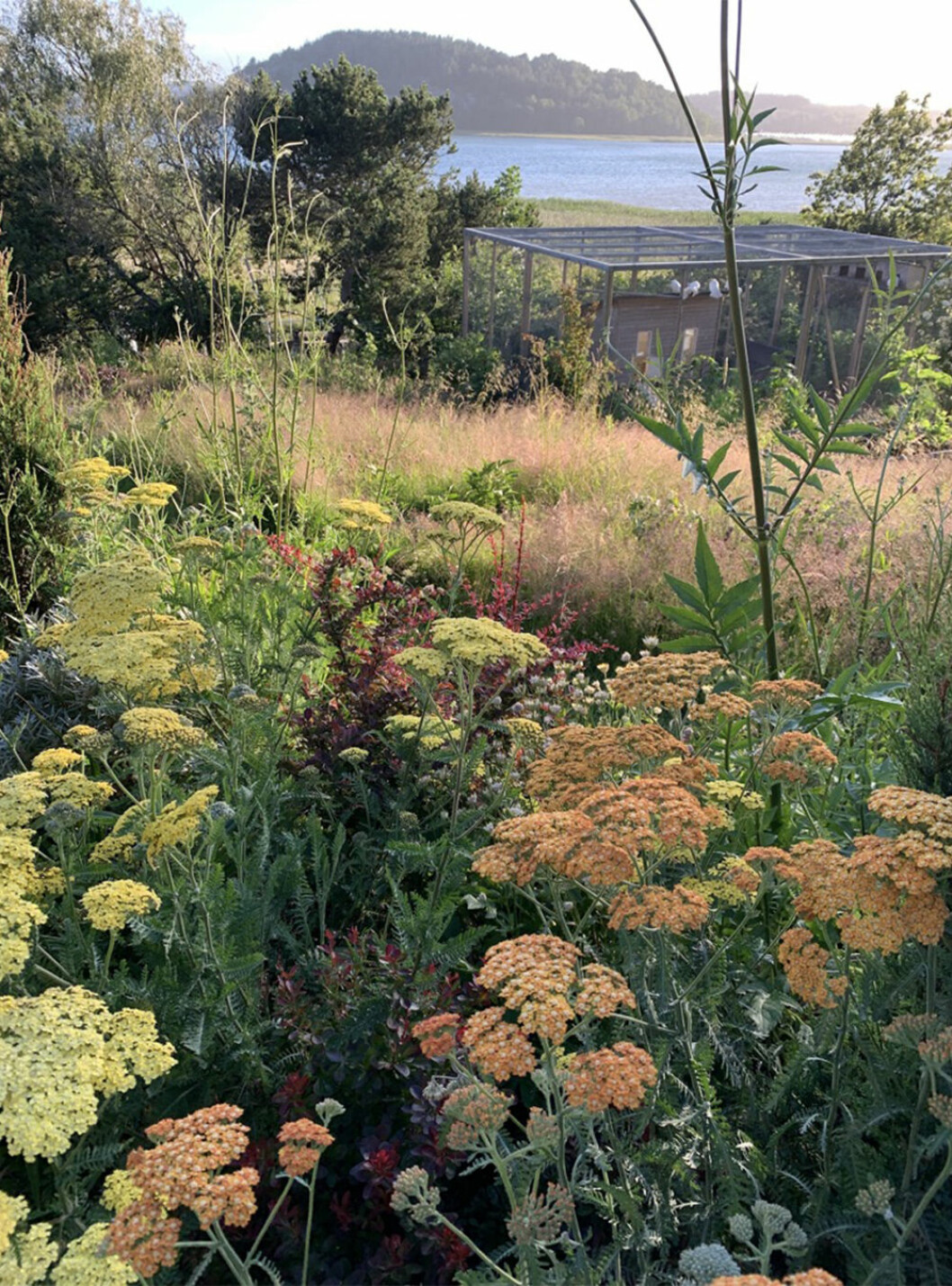 Emily Bratt tror på ett cottage garden-ideal när vi planerar våra trädgårdar för 2020 och framåt. Foto: Emily Bratt Cottage garden-idealet är starkt i trädgården 2020