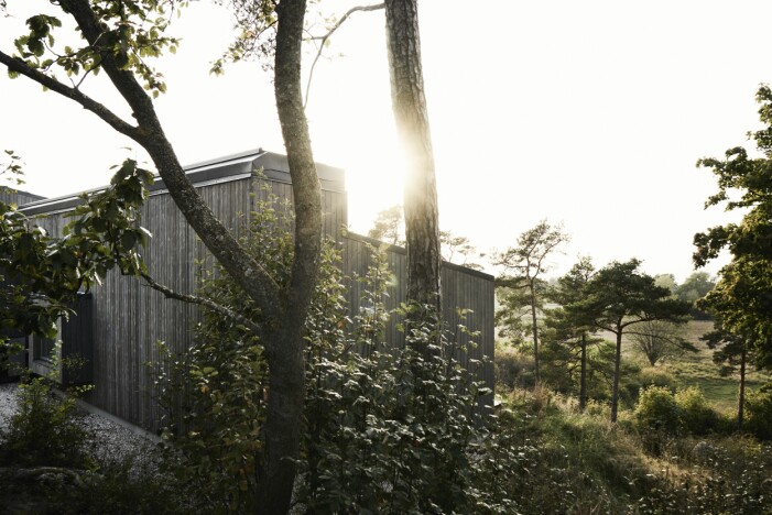 Alla stora fönster vetter ut mot havet. Ett ljusinsläpp i taket släpper in ljus från baksidan. Sommarhus på Gotland ritat av M. Arkitektur