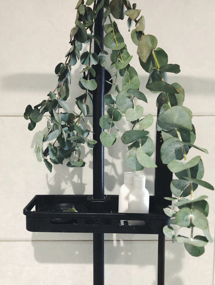 När eucalyptus-grenarna gjort sitt i vasen i vardagsrummet kan du hänga in dem i duschen. Eucalyptus