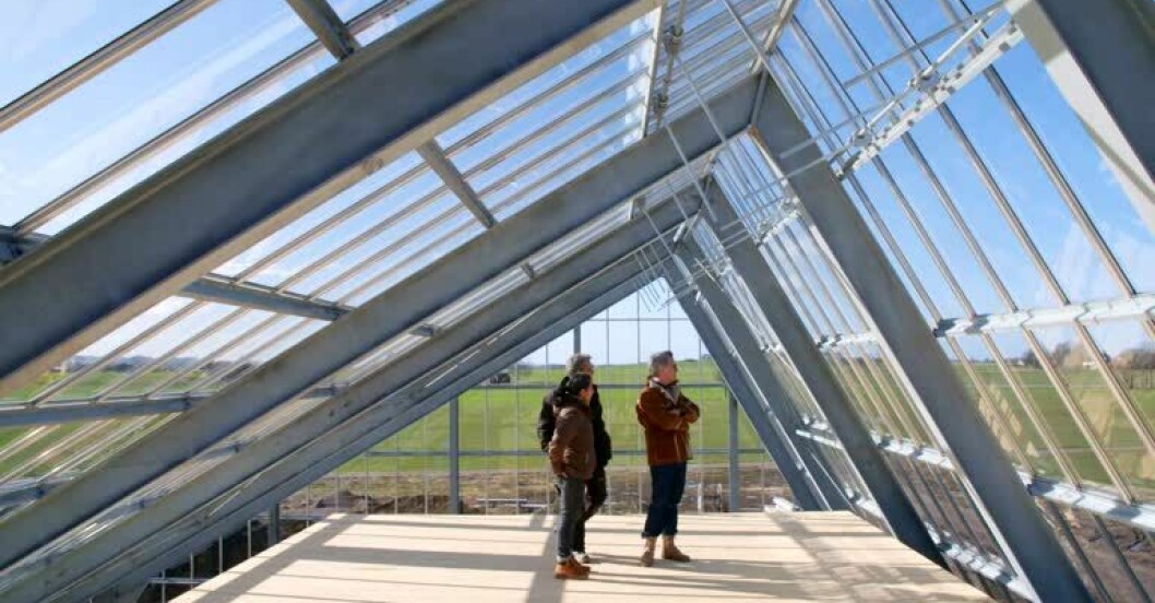 Mark Isitt hälsar på hos Roja och Johan under bygget av Naturhuset i Vadstena. Grand Designs i Vadstena