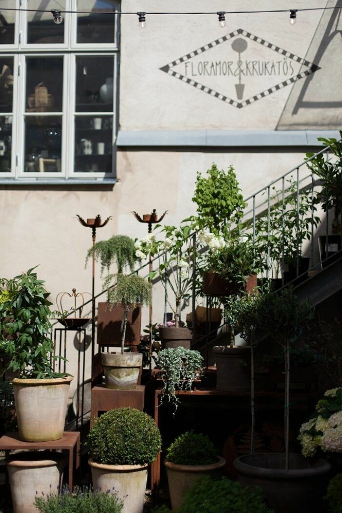Hos Floramor & Krukatös hittar du allt från unika inredningsdetaljer till grönskande växter. Floramor & Krukatös hittar du i Göteborg
